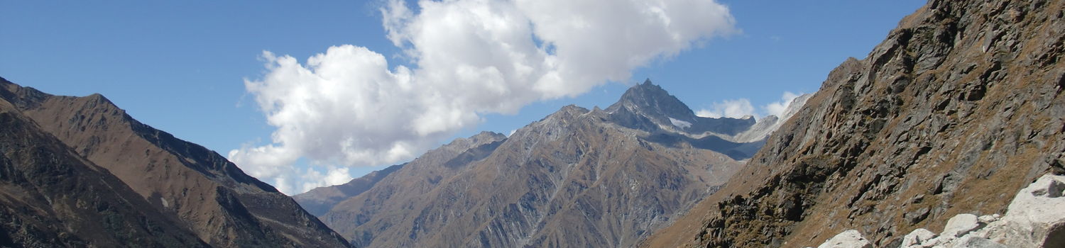 Aerie Backcountry Medicine